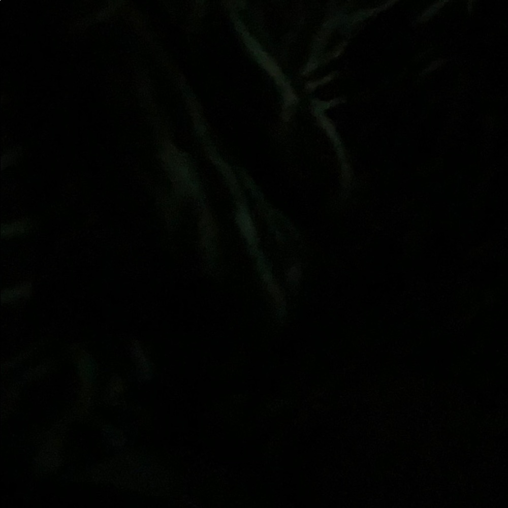 Meet your Posher, Rosa